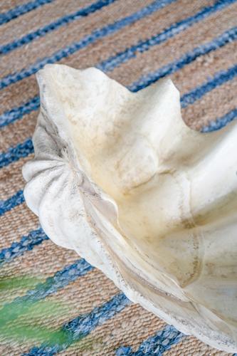 Large Shell