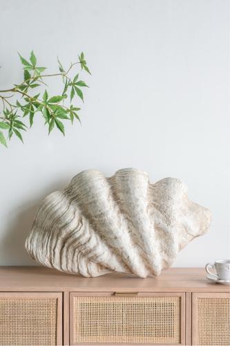 Large Shell