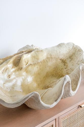 Large Shell