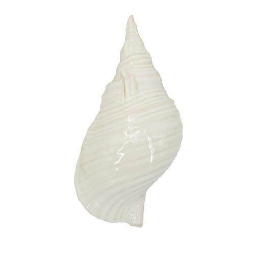 Seashell