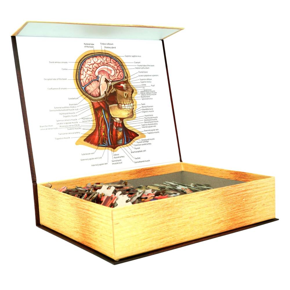 Dr. Livingston's Anatomy Jigsaw Puzzle: The Human Head
