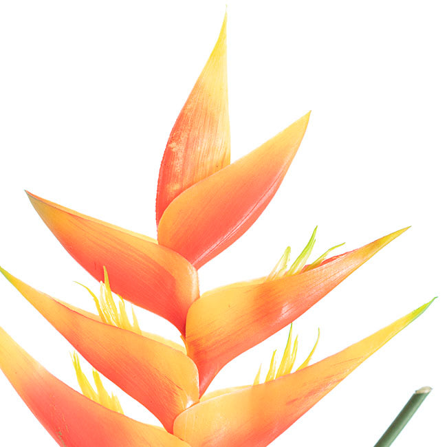 Artificial / Faux Flower - Heliconia Flower Stem Orange