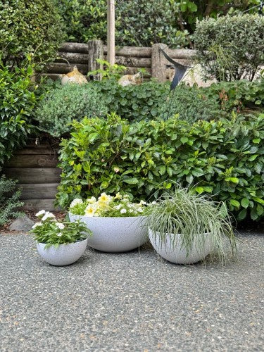 Bowl - Nova Medium White 17 x 35cm (Set of 2)