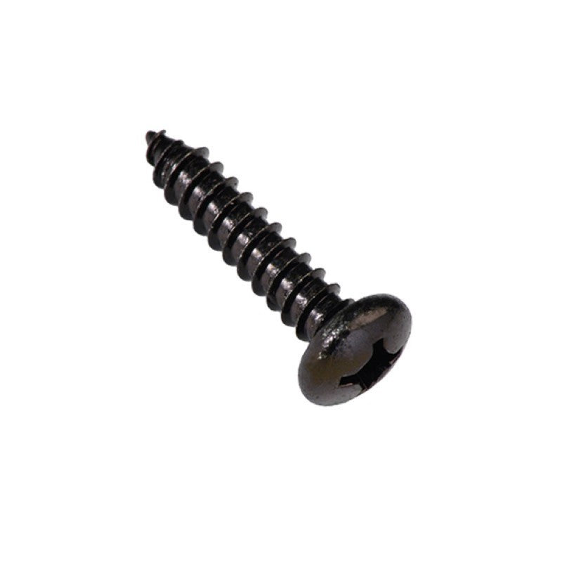 Champion 1in black screws in 100-pack, durable Phillips design for reliable fastening in woodworking and construction projects.