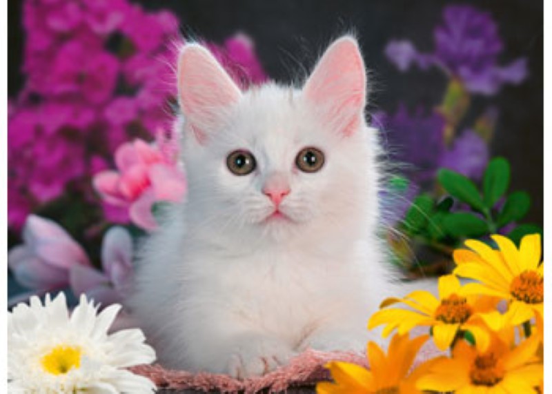 Colorful 100pc puzzle featuring a sparkling cat, designed for children 6+, fostering fun and skill development.