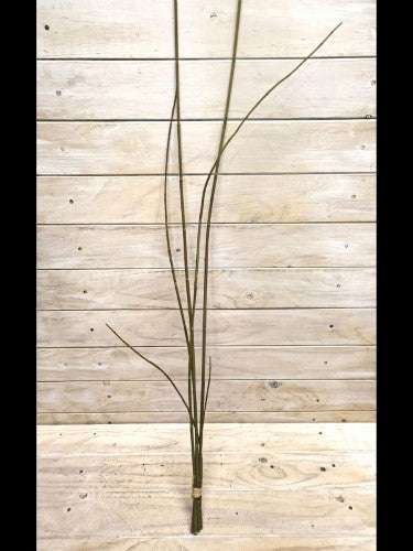 Artificial Horsetail Bundle - X 5 (Brown)