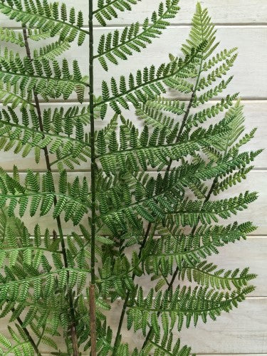 Artificial Boston Fern Bush - Large X 5 (100cm)