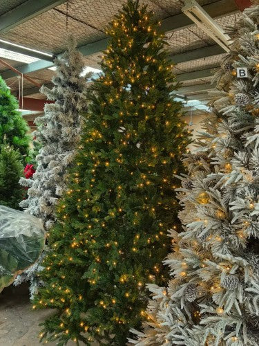 PE & PVC Mixed Pine Tree with 1500 LED Warm Lights - 10242 Tips