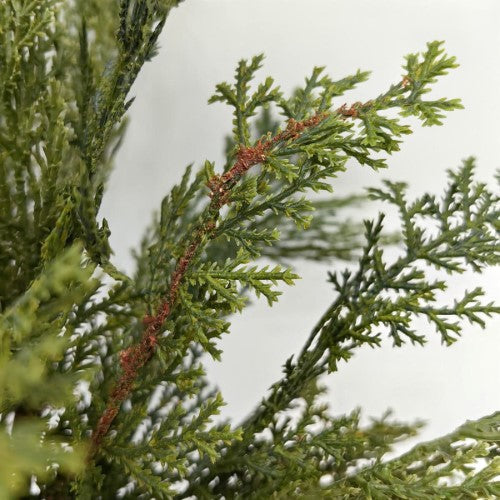 Real Touch Cedar Pine Bush (40cm)