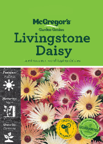 McGregor's Livingstone Daisy Flower Seed Packet