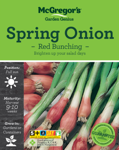 McGregor's Spring Onion Red Bunching Vegetable Seed Packet