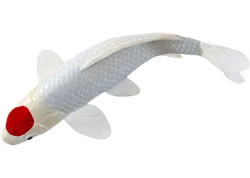 Mojo - Koi Carp - Tancho Koi (red dot) 2025