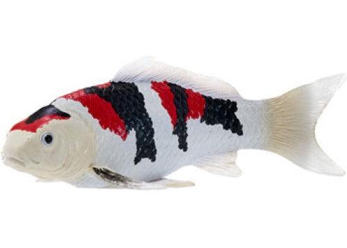 Mojo - Koi Carp - Showa Sanshoku Koi 2025