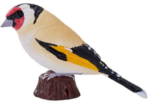 Mojo - European Goldfinch 2025