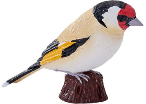 Mojo - European Goldfinch 2025