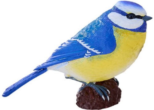 Mojo - Blue Tit 2025
