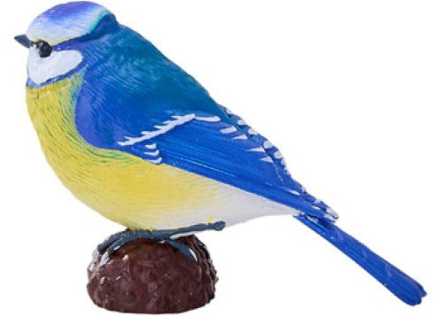 Mojo - Blue Tit 2025