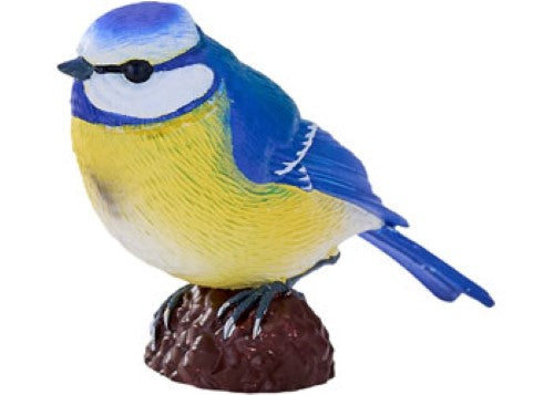 Mojo - Blue Tit 2025