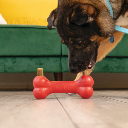 Dog Treat - KONG Ziggies Enhanced Med/Large (227g)