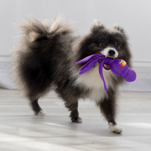 Dog Toy - KONG Wubba (Small)