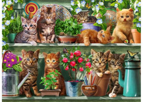Ravensburger Cats on the Shelf Puzzle 500 Pieces