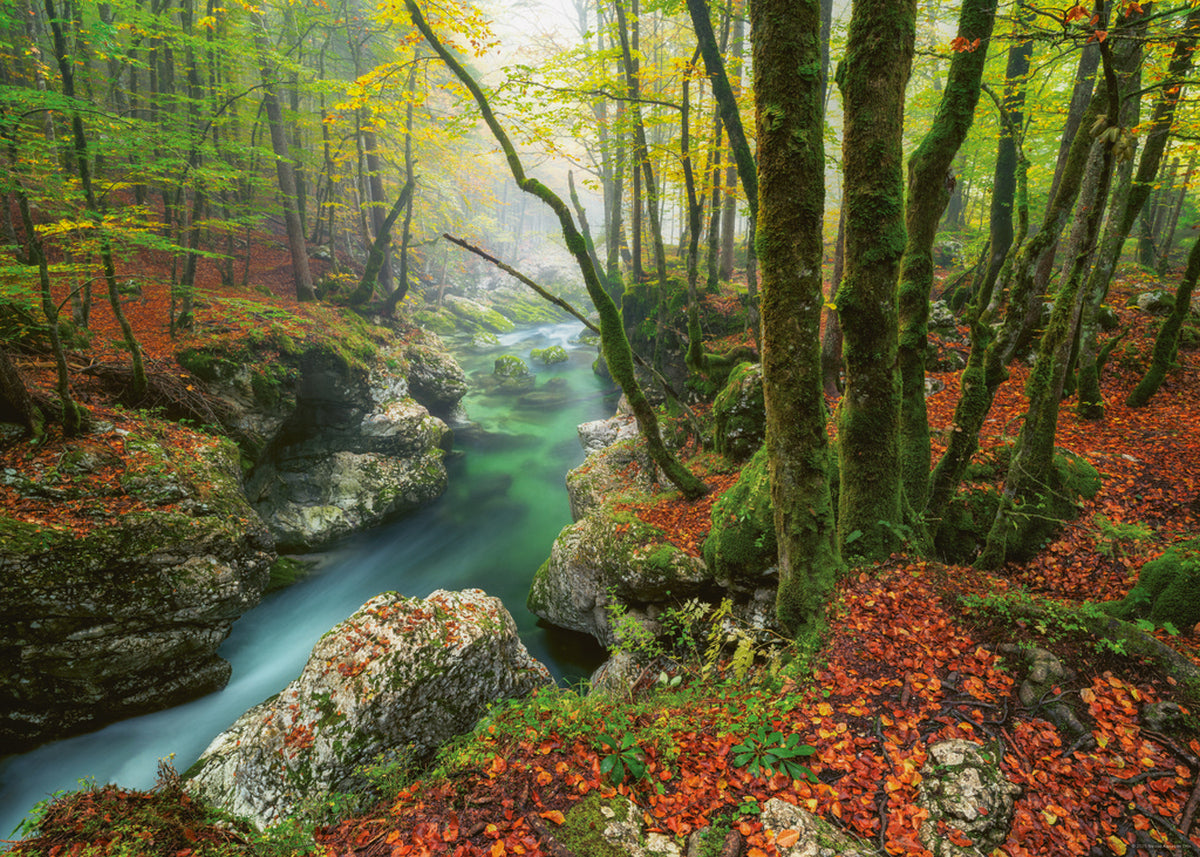 Puzzle - Heye - Otto; Magic Forests, Little Brook 1000pc