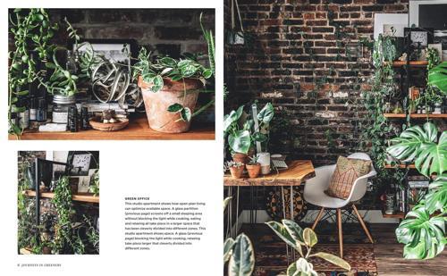 Wild Interiors Interior Design Book