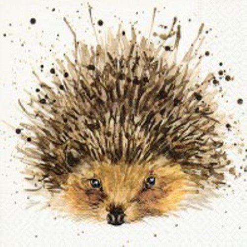 Cocktail Napkin - Cute Hedgehog