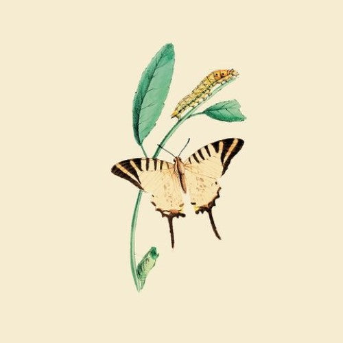 Luncheon Napkin -Nature Butterfly