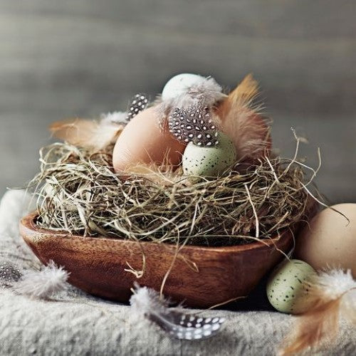 Luncheon Napkin -Rustic Feathers