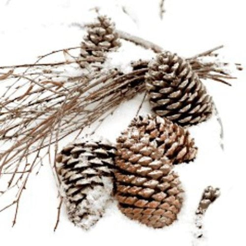 Luncheon Napkin - Cones In Snow