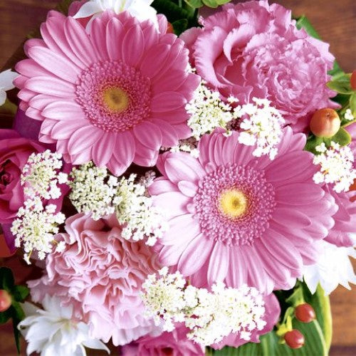 Luncheon Napkin -Pink Gerbera