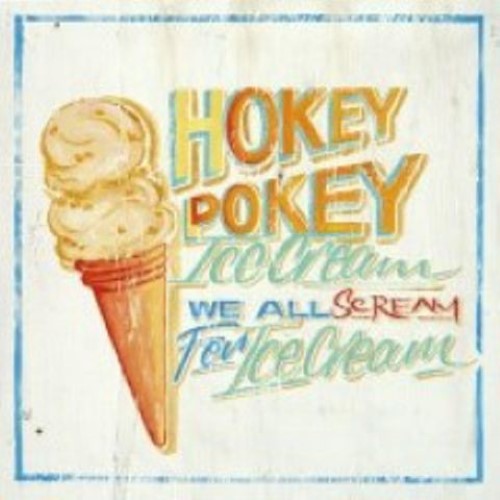 Luncheon Napkin -Hokey Pokey