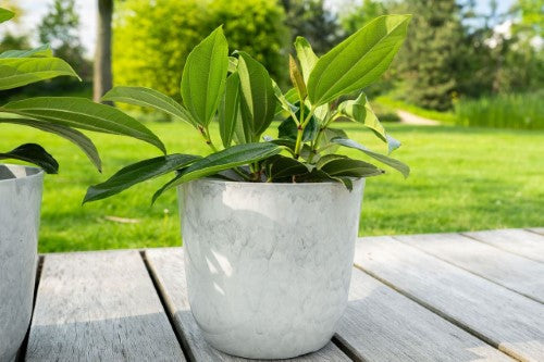 Pot - Palermo XL 25 x 27cm Marble White (Set of 2)