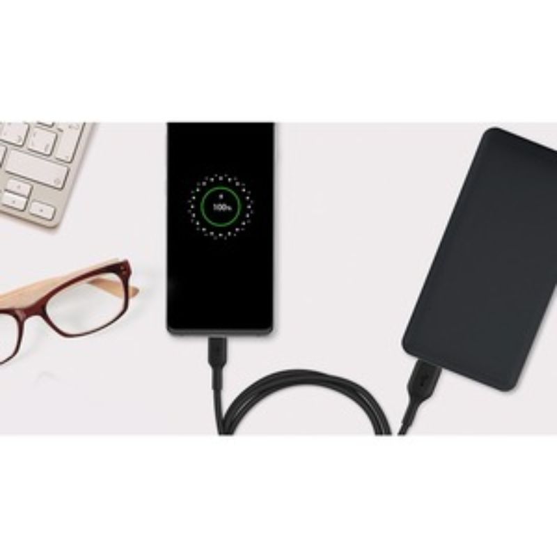Belkin BOOST?CHARGE™ USB-C to USB-A Cable - Black