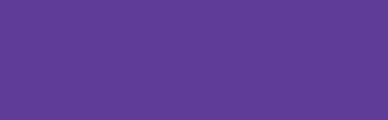Paint - JACQUARD TEXTILE COLOURS VIOLET 110 (66.54ml)