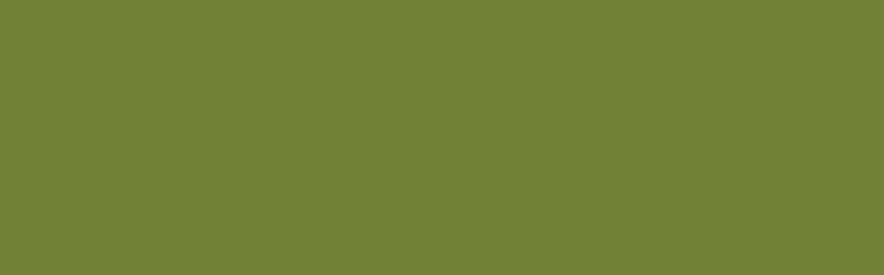 Paint - JACQUARD TEXTILE COLOURS OLIVE GREEN 118 (66.54ml)
