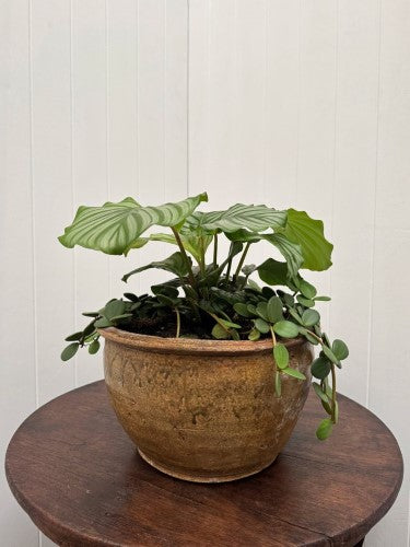 Ceramic Claude Decorative Bowl Large Ochre 37 x 22cm