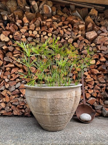 Antique Borneo Open Water Pot Advika 68 x 42cm