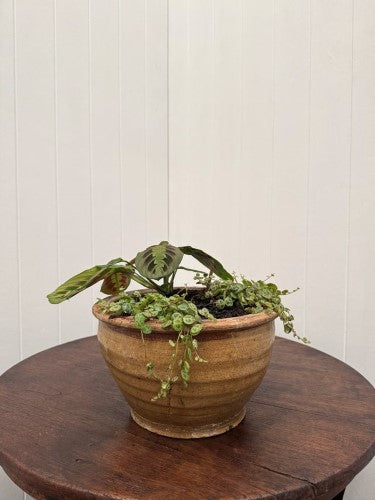 Ceramic Claude Decorative Bowl Small Ochre 27 x 15cm