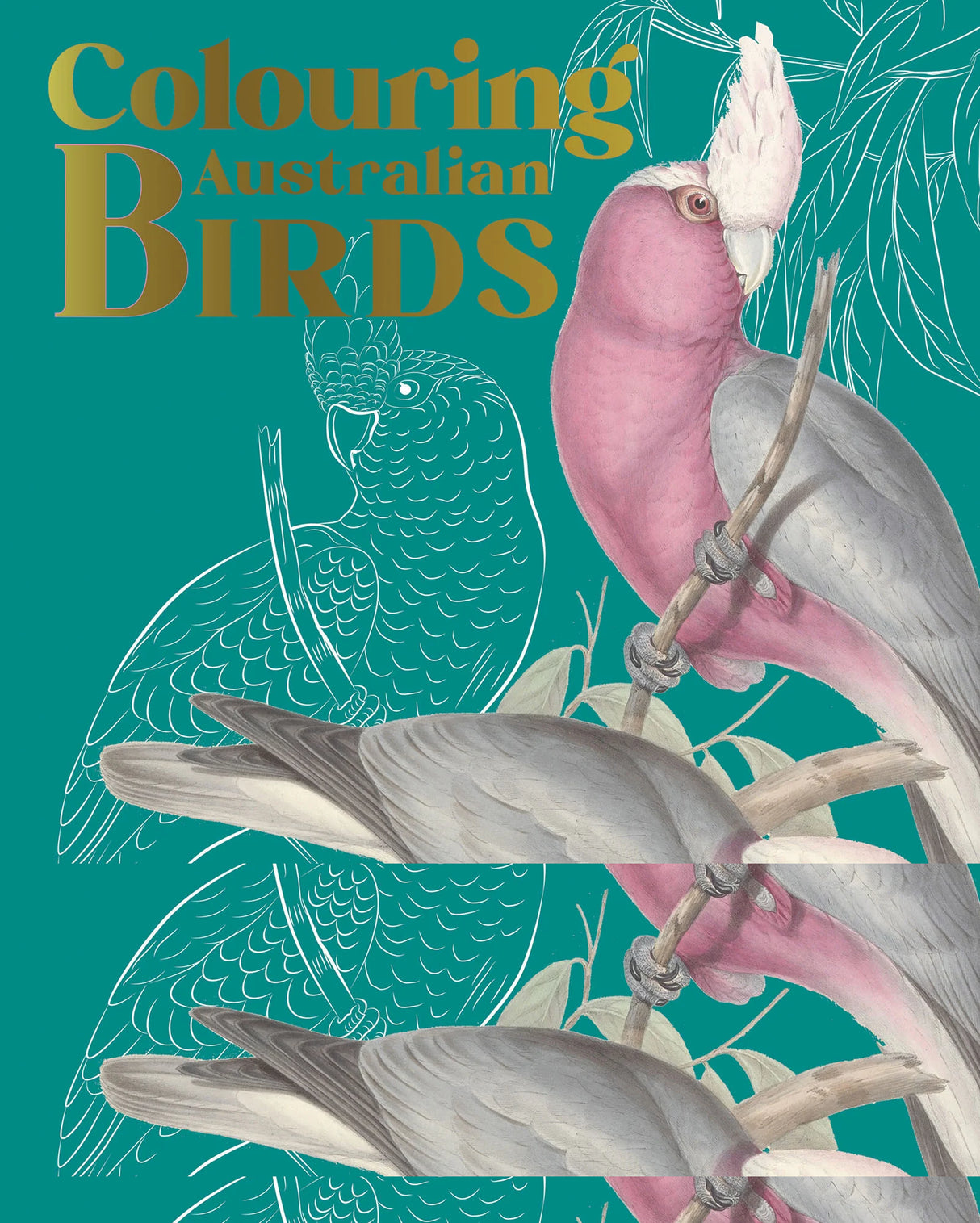 Colouring Australian Birds - Fifth Edition
