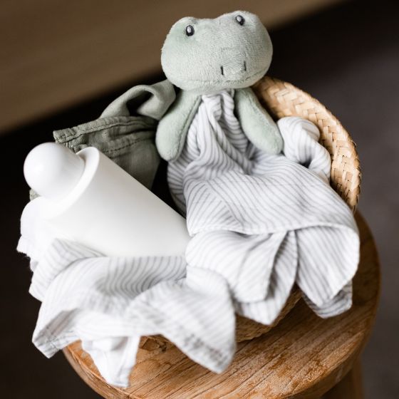Little Bamboo Comforter - Freddie Frog - Little Bamboo