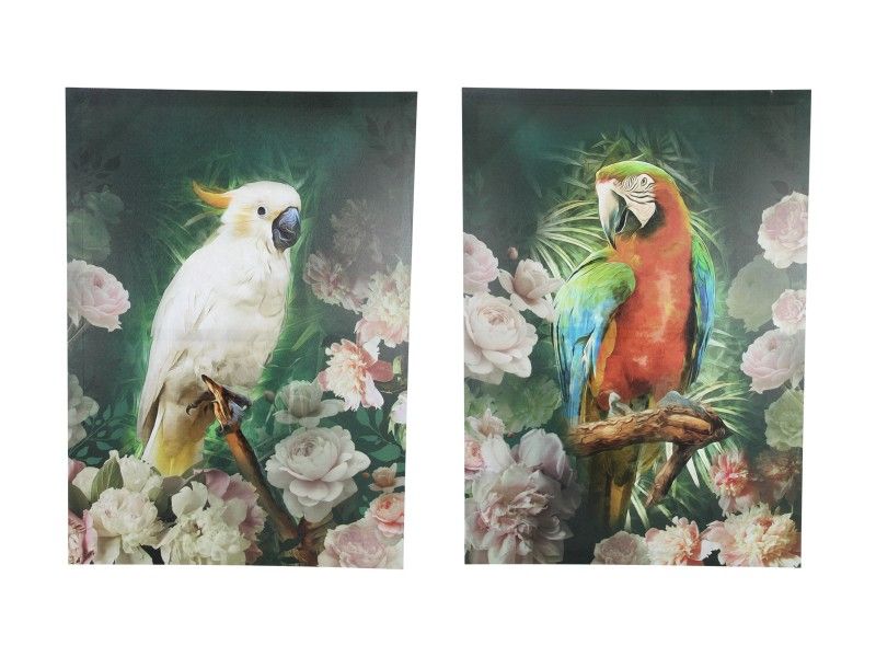 Wall Art - 70x50cm Birds Canvas Print - Pack of 2
