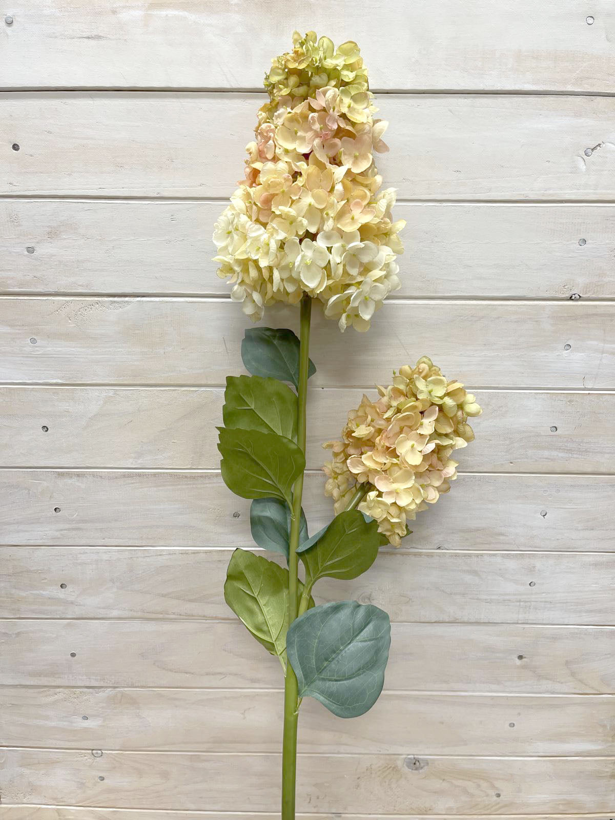 Artificial Flower -Dried Look – Hydrangea Paniculate Spray X 2 YELLOW
