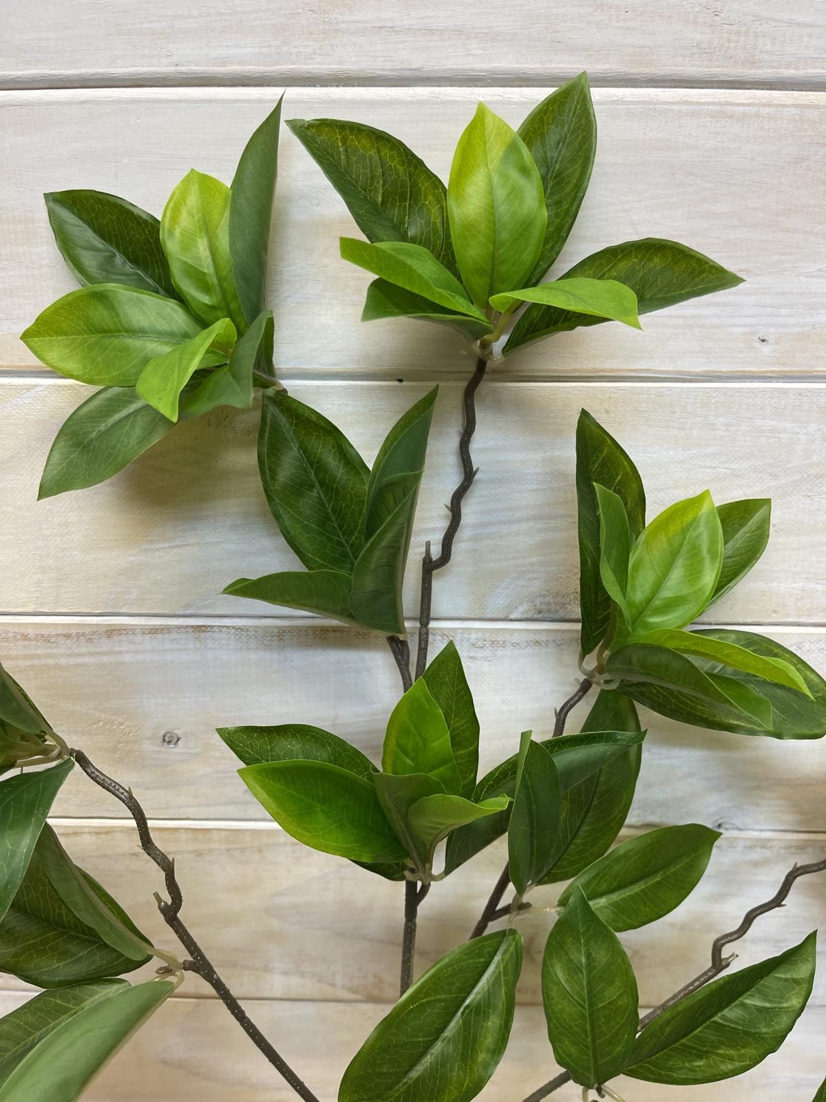 Artificial Leaf – Daphne Leaf Spray