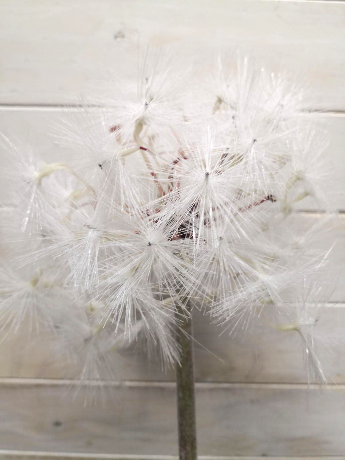 Artificial white dandelion flower, 15cm tall, perfect for elegant home decor and everlasting arrangements.