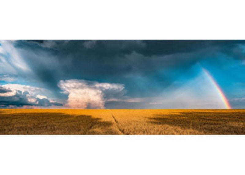 Colorful 1000-piece Ravensburger puzzle featuring a vibrant rainbow design, perfect for joyful family fun or solo relaxation.