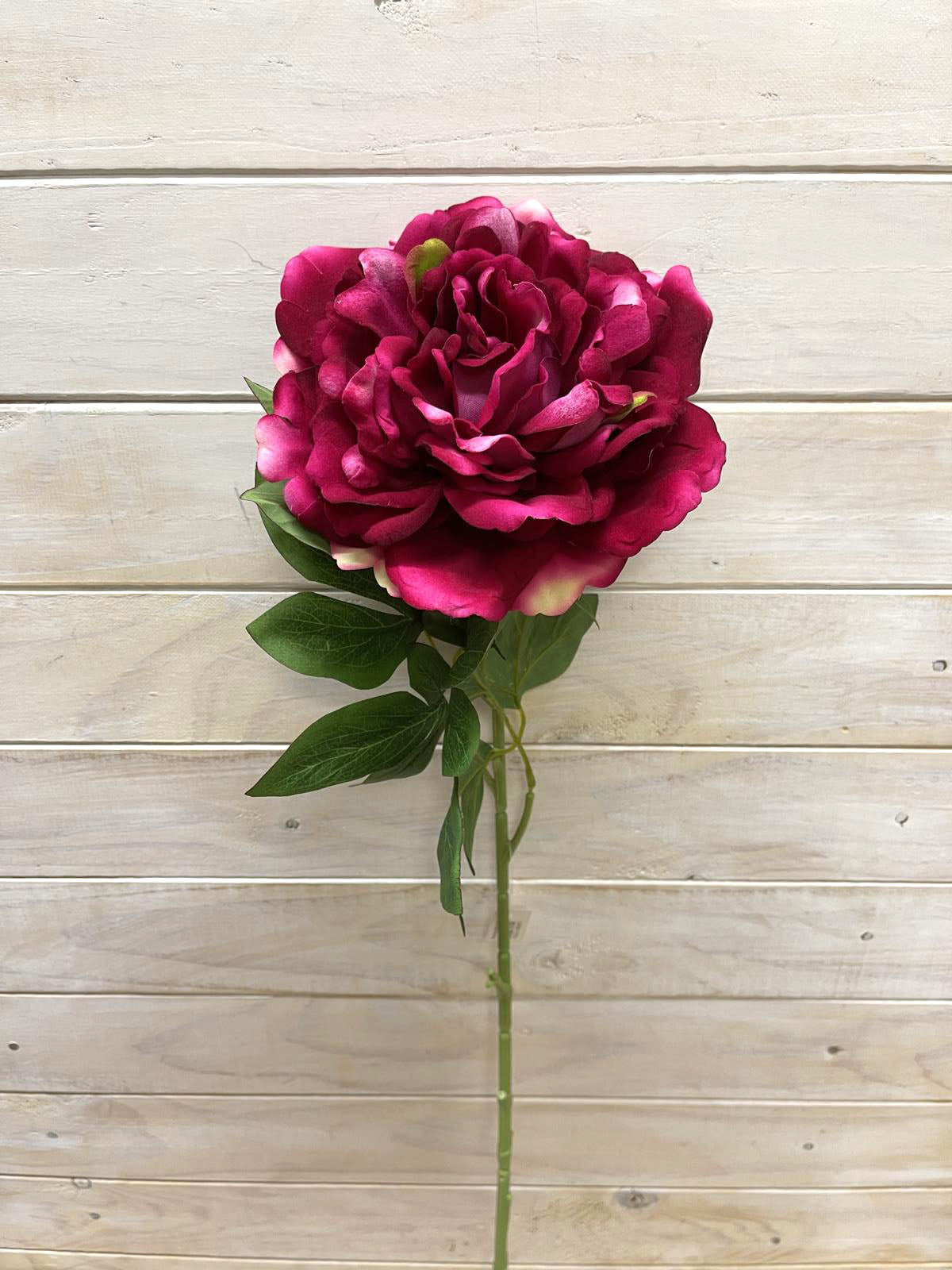 Vibrant single large velvet peony with lifelike petals, perfect for elegant home decor and floral arrangements.