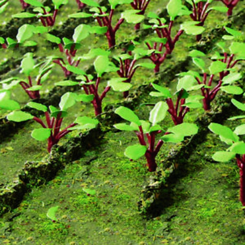 Realistic HO scale rhubarb model, perfect for enhancing dioramas and farm scenes with vibrant detail and durability.