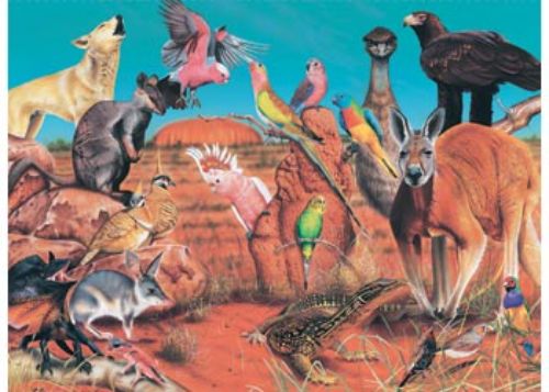 Blue Opal - Wild Aust The Outback 100pc